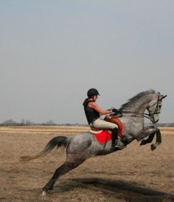 ‘Oh Crap’ Monday