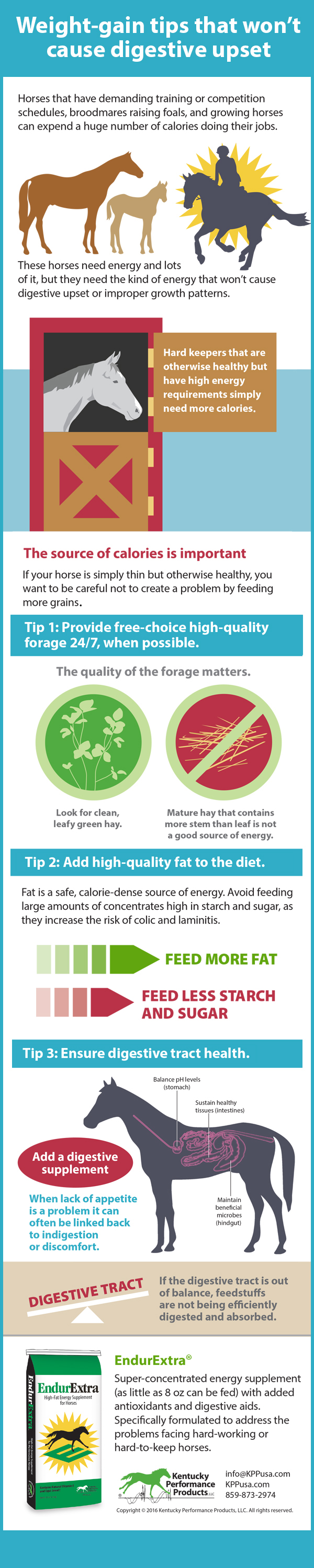 Kentucky Performance Products Weight Gain Without Digestive Upset