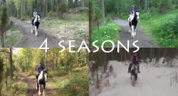 Tuesday Video: One Girl, One Horse, Four Seasons