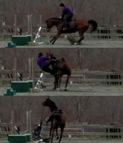 ‘Oh Crap’ Monday