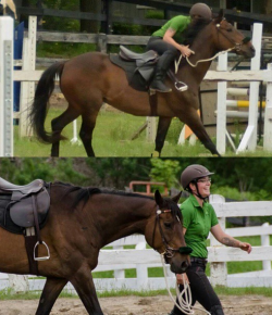 ‘Oh Crap’ Monday