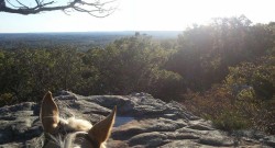 Photo Challenge: 15 Spring Snapshots