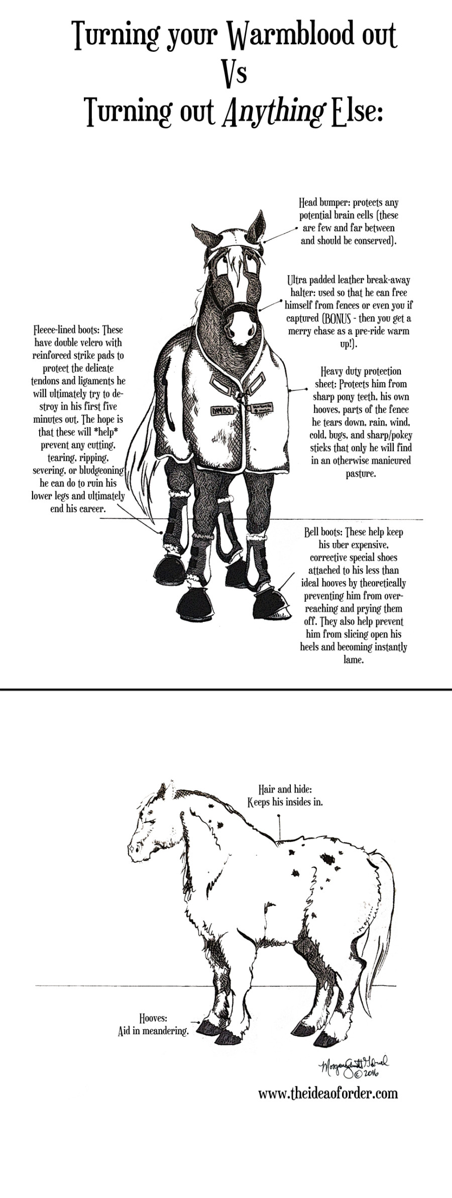 The Idea of Order Turnout Gear HORSE NATION