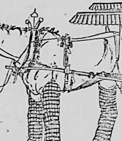 #ThrowbackThursday: Retro Weird Horse News