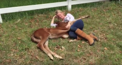 Tuesday Video: Humans Make Great Pillows