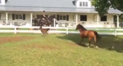 Thursday Video: Mama Knows Best