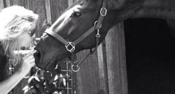 Photo Challenge: 5 Barn/Show Moms