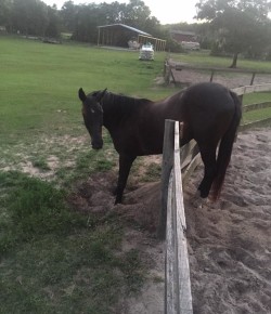 ‘Oh Crap’ Monday