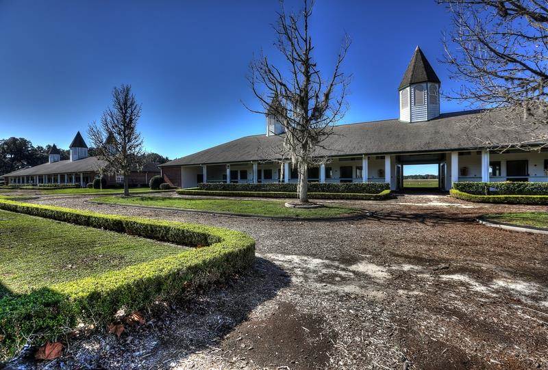 Fantasy Farm Thursday 17.9 Million Padua Stables in Ocala, Florida