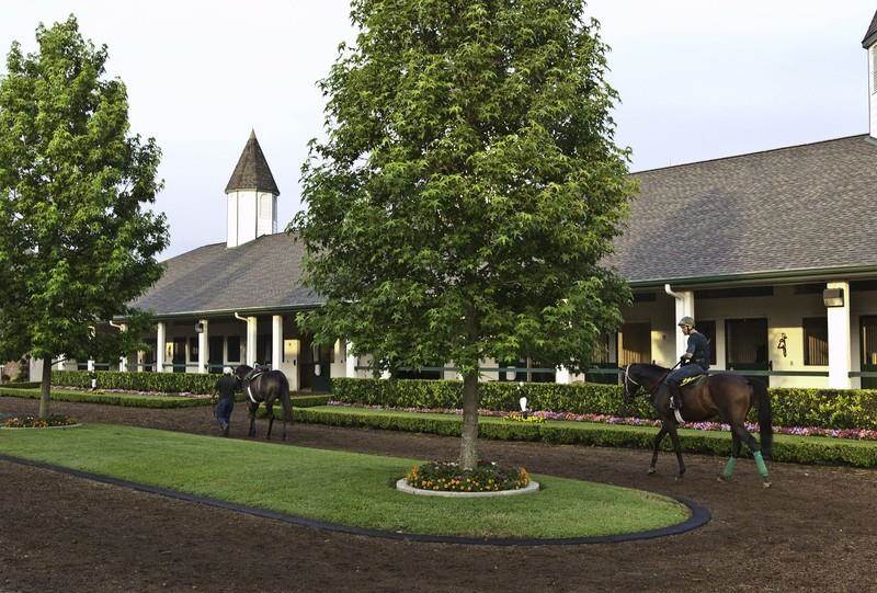 Fantasy Farm Thursday 17.9 Million Padua Stables in Ocala, Florida