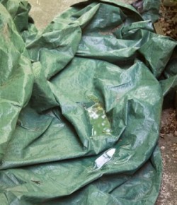 Kentucky Performance Products: Mosquito Prevention Tips