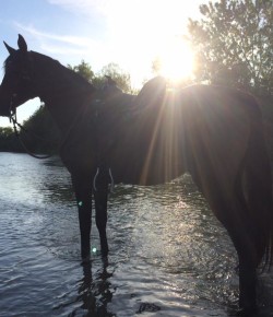 Photo Challenge: 6 Readers Up With the Sun