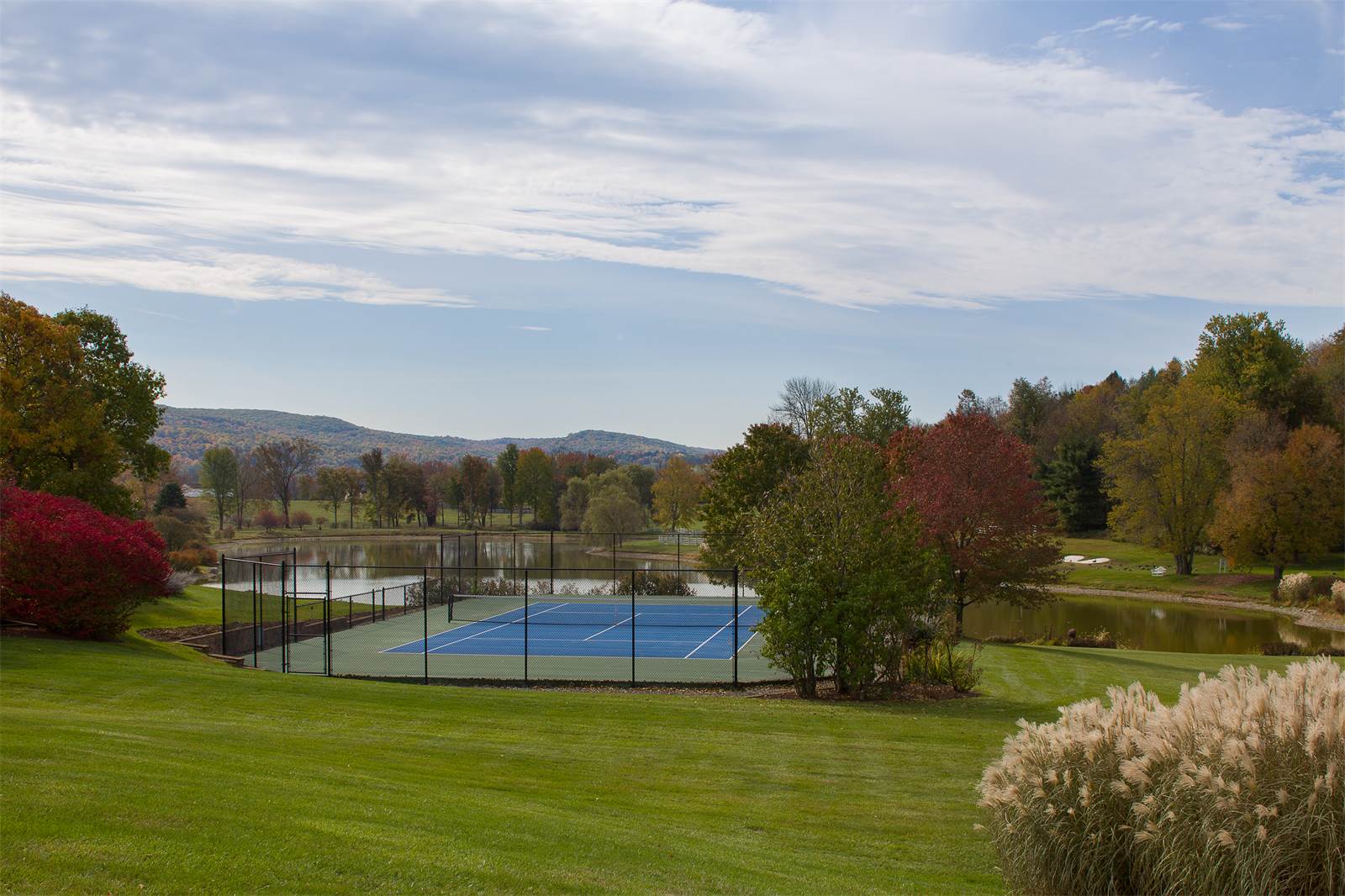 Fantasy Farm Thursday 23.5 Million Sugar Maple Farm HORSE NATION