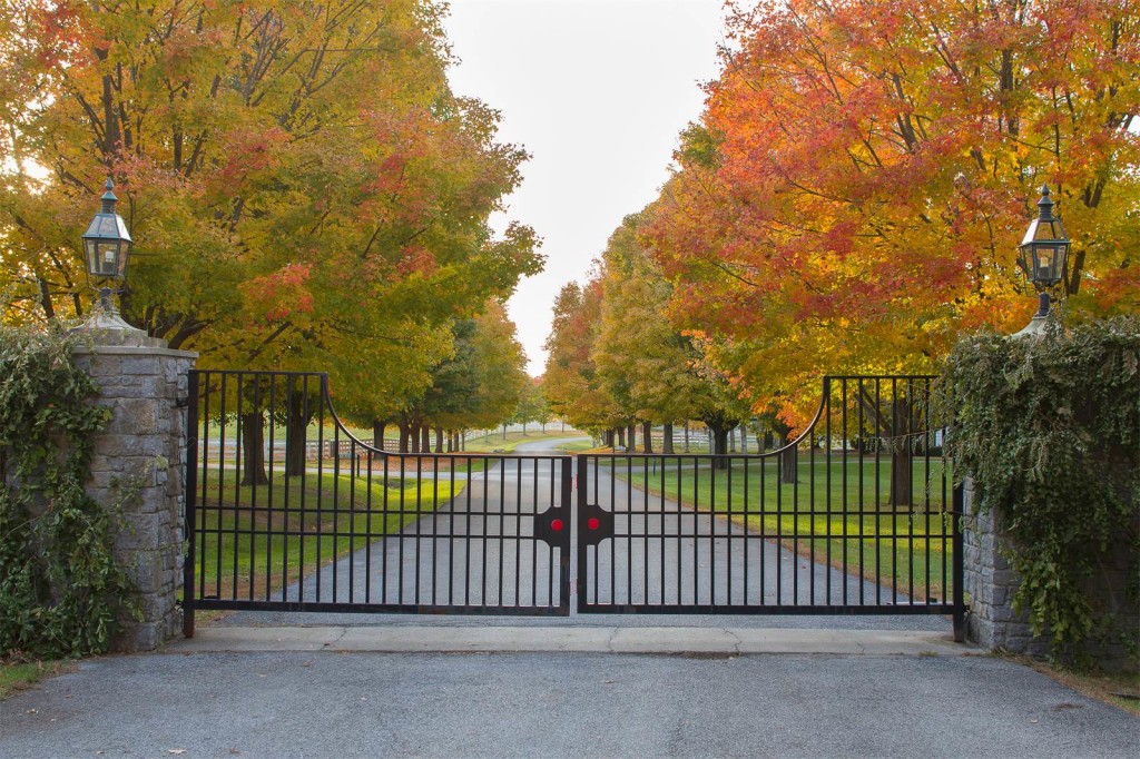 Fantasy Farm Thursday 23.5 Million Sugar Maple Farm HORSE NATION