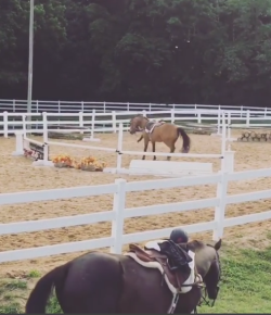 ‘Oh Crap’ Monday