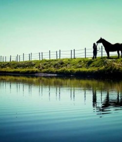 Photo Challenge: 6 Moments of Reflection