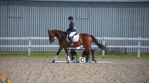 Your Turn: Setting New Standards