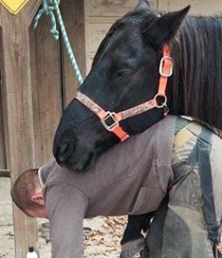 National Farriers Week: A Day in the ‘Glamorous’ Life