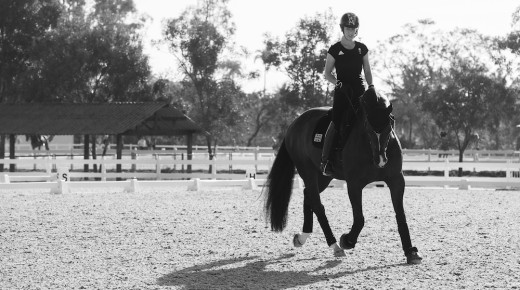 Morgane’s Rio Dressage Recap: Grand Prix Day 2