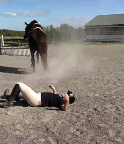 ‘Oh Crap’ Monday