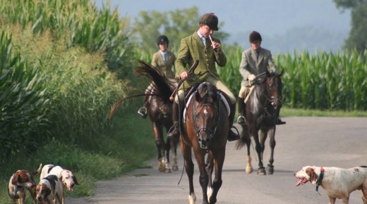 The Cub Hunting Checklist: A Guide and Photo Essay