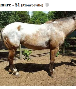 Best of Craigslist, Volume 46