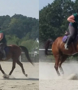 ‘Oh Crap’ Monday