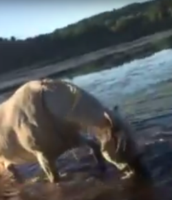 Tuesday Video: Photoshoot Behind-the-Scenes