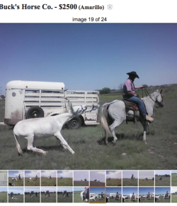 Best of Craigslist, Volume 47