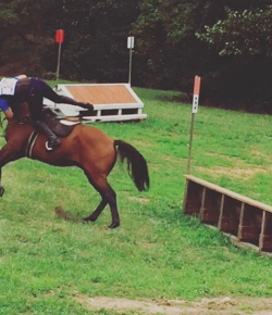 ‘Oh Crap’ Monday Classics