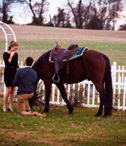 Photo Challenge: 18 Horsey Engagement Announcements