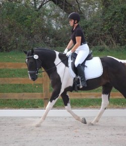 Your Turn: ‘I’ve Gotten My Horse Back Twice’