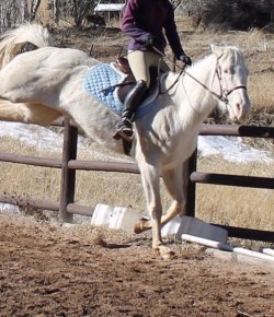 ‘Oh Crap’ Monday