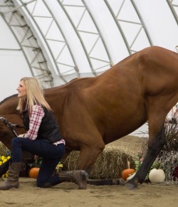 Gallery: She Said Yes! A Very Pony Proposal