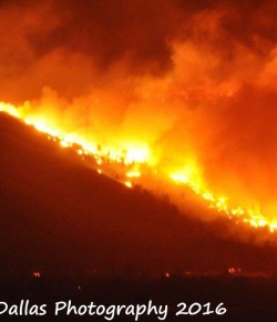 Equestrians Rally After Devastating Little Valley Fire in Nevada
