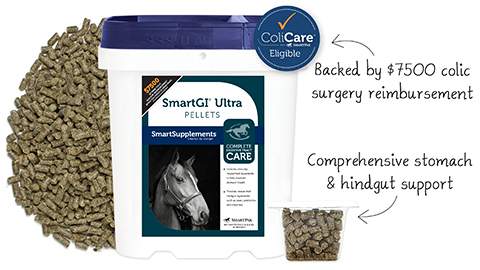 SmartPak Monday Morning Feed: SmartSupplements October Sale | HORSE NATION