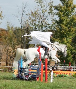 6 Fantasy Costume Ideas for Your Horse (Plus Our Contest!), Pres. by World Equestrian Brands