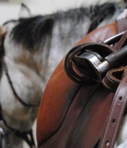 #TBT: 6 Ways to Participate In No-Stirrup November (Without Creating Sore-Back December)