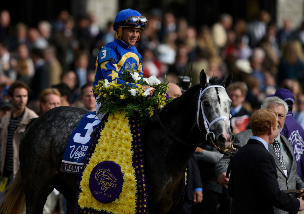 An Everyday Racing Fan’s Picks Breeders’ Cup, Day 2 HORSE NATION