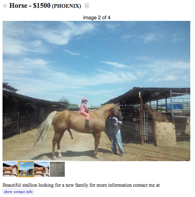 Best of Craigslist, Volume 49 HORSE NATION