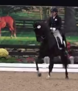 SpectraVET Performance of the Week: Chase Hickok