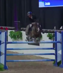 SpectraVET Performance of the Week: Richard Spooner