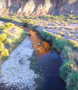World Equestrian Brands Drone Cam: Salt River Wild Horses