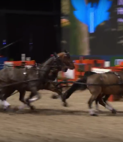 SpectraVET Performance of the Week: Boyd Exell Earns Commanding Win
