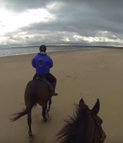 World Equestrian Brands Helmet Cam: Beach OTTB