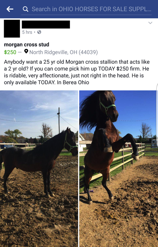 Best of Craigslist, Volume 49 HORSE NATION