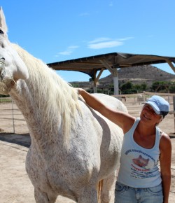 Standing Ovation by Ovation Riding: Easy Horse Care Rescue Center