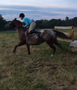 ‘Oh Crap’ Monday