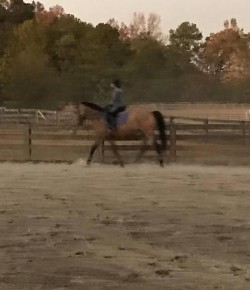 Goode Rider No-Stirrup November Contest Winner!