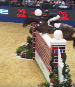 SpectraVET Performance of the Week: Olympia Puissance